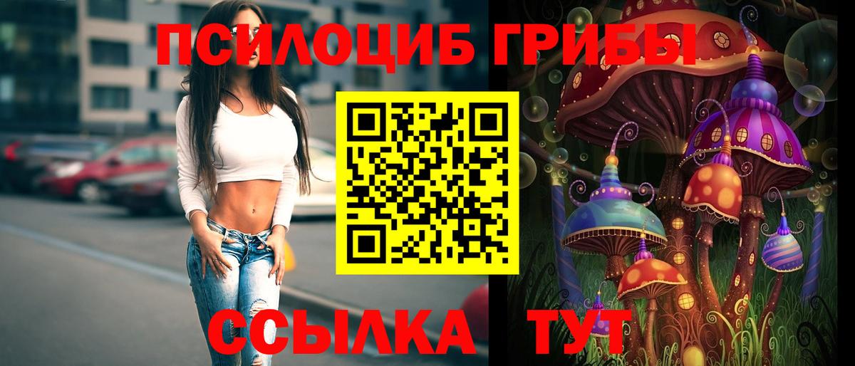 Псилоцибиновые грибы прущие грибы Алушта